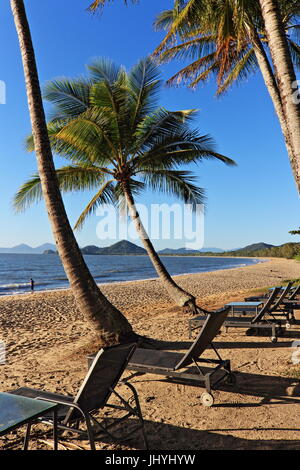 Top-Strand-Blick auf ruhigem Wasser, Palmen und Sandstrand in den frühen Morgen Top Wintertag in Palm Cove Stockfoto