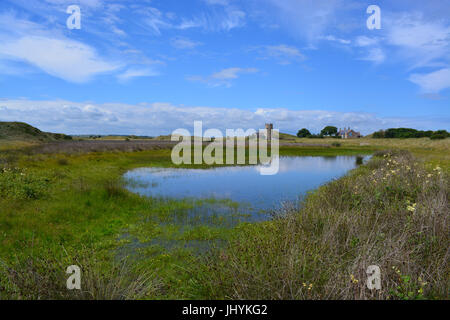 Snook, Holy Island, Northumberland Stockfoto