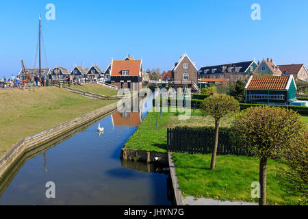 Weißer Schwan in den Kanal, umgeben von Wiesen und typischen Holzhäusern, Marken, Waterland, Nordholland, Niederlande Stockfoto