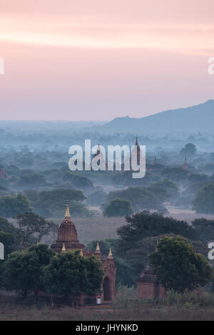 Ansicht der Tempel in der Morgendämmerung, Bagan (Pagan), Mandalay Region, Myanmar (Burma), Asien Stockfoto