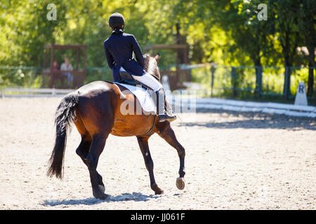 Schließen Sie herauf Bild von Pferd mit Reiter im Reitsport Dressurprüfungen. Details der Reitsport Ausrüstung Stockfoto