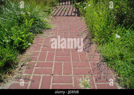 Roter Pflasterstein Beton Walkingpath auf einem Grundstück mit Rasen an den Seiten. Weg zum Wohnkonzept. Stockfoto