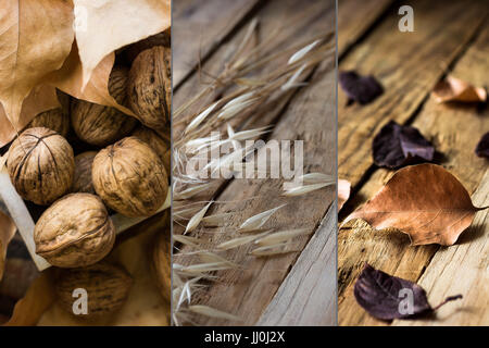 Foto-Collage-Herbst fallen, trocken braun rot orange Blätter, Walnüsse, Pflanzen auf verwittertem Holz Hintergrund, ruhigen, gemütliche Atmosphäre Stockfoto