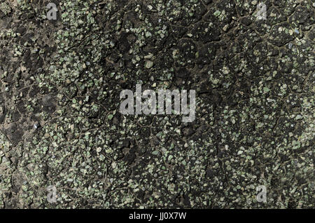 Kies auf schwarzem Harz Stockfoto