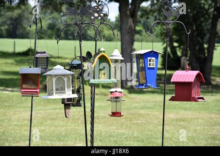 Cluster von Vogelhäuser Stockfoto