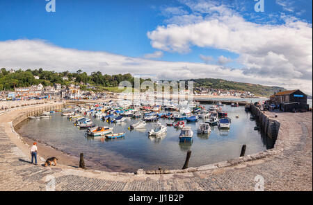 1. Juli 2017: Lyme Regis, Dorset, England, UK - der Hafen von The Cobb an einem schönen sonnigen Sommermorgen. Stockfoto