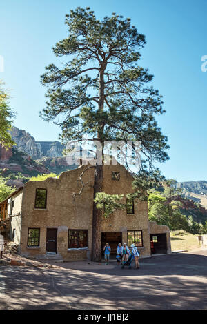 Altes Gebäude mit großen Baum, Slide Rock State Park, Oak Creek Canyon, Arizona, USA Stockfoto