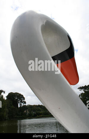 Ente, Nova Petropolis, Rio Grande do Sul, Brasilien. Stockfoto