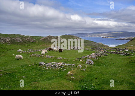 Ceannabeinne, blühende Gemeinde bis der Highland Clearances 1842, ruiniert jetzt Dorf in der Nähe von Durness, Sutherland, Schottisches Hochland, Schottland, UK Stockfoto