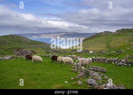 Ceannabeinne, blühende Gemeinde bis der Highland Clearances 1842, ruiniert jetzt Dorf in der Nähe von Durness, Sutherland, Schottisches Hochland, Schottland, UK Stockfoto