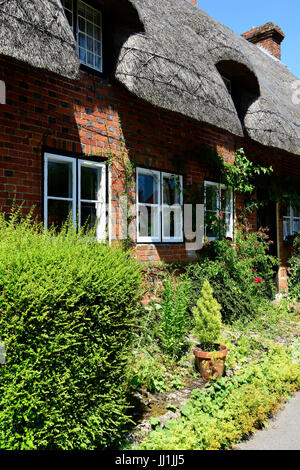 Ziemlich Reetdachhaus auf Gracious Straße im Dorf Selborne, Hampshire, UK. 9. Juli 2017. Stockfoto