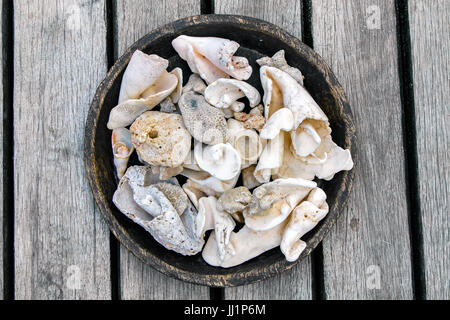 Muscheln in eine Runde Schale verschlissen. Stockfoto