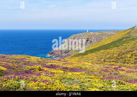 Cap Frehel, Frankreich Stockfoto