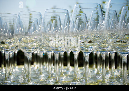 Reihen von vielen Gläser Wein und Wein auf einem Tisch in einem Weinberg einrichten für eine Weinprobe Stockfoto