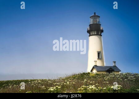 Yaquina Head Lighthouse im Mai Stockfoto