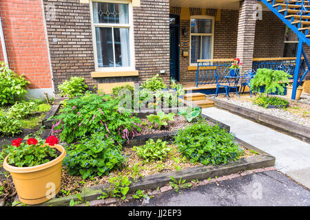 Montreal, Kanada - 27. Mai 2017: Garten mit Pflanzen und Blumen von Wohnung Treppen in Plateau Stadtteil im Sommer im sonnigen Tag in Stockfoto