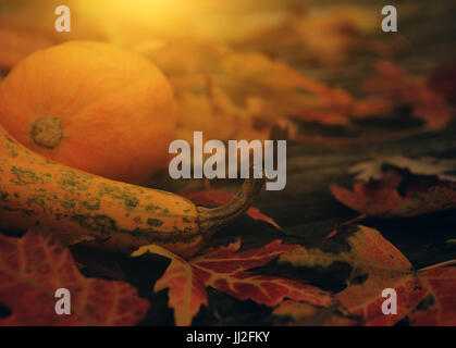 Vintage Foto Herbst Stillleben Stockfoto