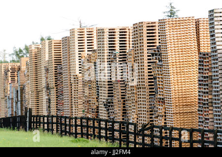 Holzpaletten gestapelt hoch bei einer Palettenfabrik in Irland. Stockfoto