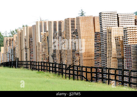 Holzpaletten gestapelt hoch bei einer Palettenfabrik in Irland. Stockfoto