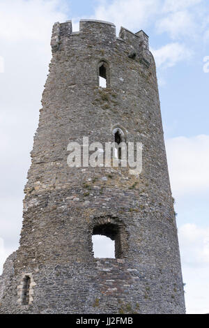 Farne Burg, County Wexford, Irland, ein anglo-normannischen Burg, in der Mitte des 13. Jahrhunderts von William Earl Marshall. Heute etwa die Hälfte o Stockfoto