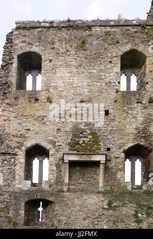 Farne Burg, County Wexford, Irland, ein anglo-normannischen Burg, in der Mitte des 13. Jahrhunderts von William Earl Marshall. Heute etwa die Hälfte o Stockfoto