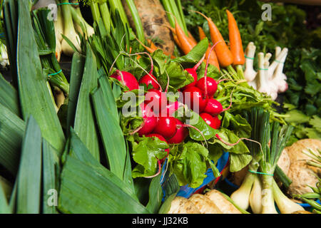 Supermarkt-Regal, frische Bio-Kräuter auf Display Petersilie, Frühlingszwiebeln, Radieschen. Frisches Bio-Gemüse im Regal im Supermarkt, Wochenmarkt. Stockfoto