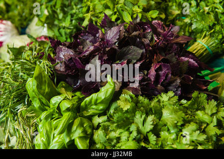 Supermarkt-Regal, frische Bio-Kräuter auf Display Petersilie, Frühlingszwiebeln, Radieschen. Frisches Bio-Gemüse im Regal im Supermarkt, Wochenmarkt. Stockfoto