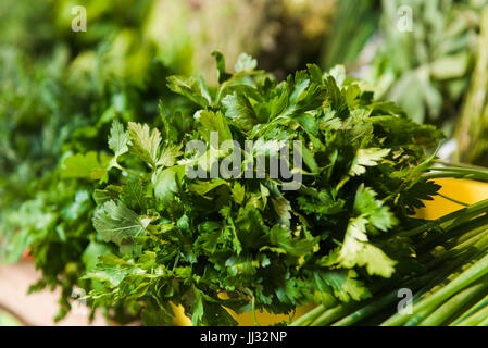 Supermarkt-Regal, frische Bio-Kräuter auf Display Petersilie, Frühlingszwiebeln, Radieschen. Frisches Bio-Gemüse im Regal im Supermarkt, Wochenmarkt. Stockfoto