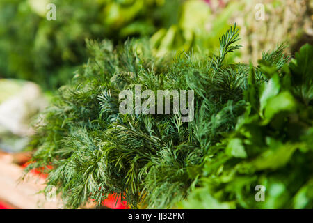 Supermarkt-Regal, frische Bio-Kräuter auf Display Petersilie, Frühlingszwiebeln, Radieschen. Frisches Bio-Gemüse im Regal im Supermarkt, Wochenmarkt. Stockfoto