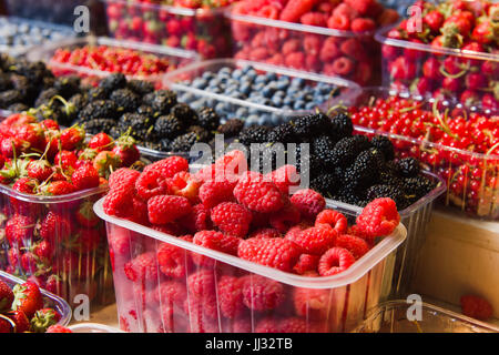 Frische Beeren auf dem Display. Bio und frisch. Essen-Hintergrund. Display auf Bauern-Markt. Stockfoto