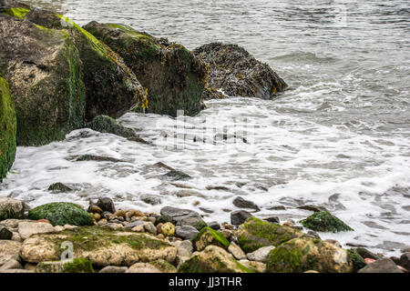 Wasser kommt an Land an der Küste von Brooklyn Stockfoto