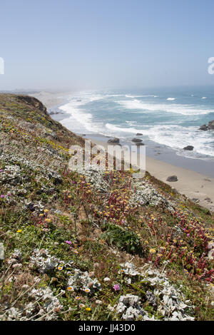 California Stockfoto