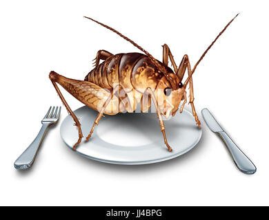 Essen Sie Bugs und essen Insekten als exotische Küche und alternative proteinreiche Ernährung essen als ein Cricket-Insekt in einen Teller mit Messer und Gabel. Stockfoto