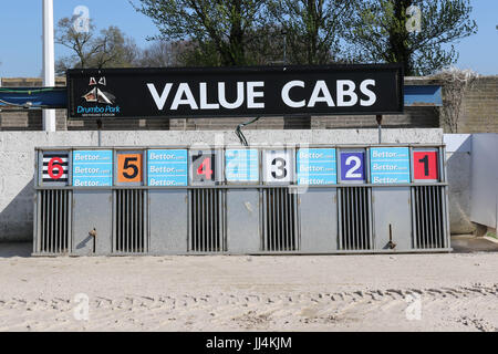 Windhund-Falle bei Drumbo Park Greyhound Stadium, Lambeg, Nordirland. Stockfoto