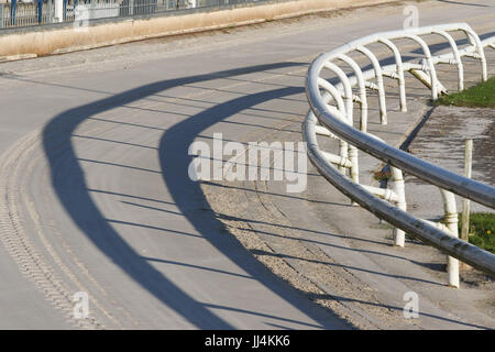 Biegen Sie auf Greyhound-Rennstrecke am Drumbo Park, Lambeg, Nordirland. Stockfoto