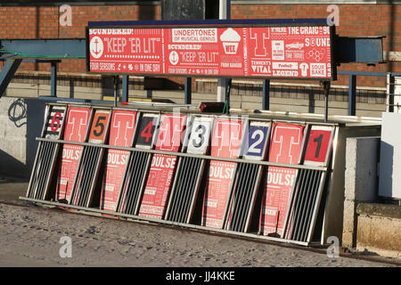 Windhund-Falle im Drumbo Park Greyhound Stadium bei Lambeg, Nordirland. Stockfoto