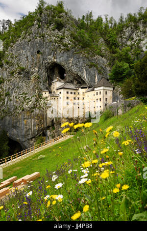 Wildblumen auf Hügel Predjama Schloss 1570 Renaissance-Festung in den Mund eines Cliffside Höhle in Slowenien Stockfoto