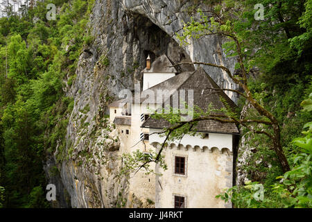 Bäume, klammerte sich an die Felswand am Predjama Schloss 1570 Renaissance-Festung in den Mund eines Cliffside Höhle in Slowenien Stockfoto