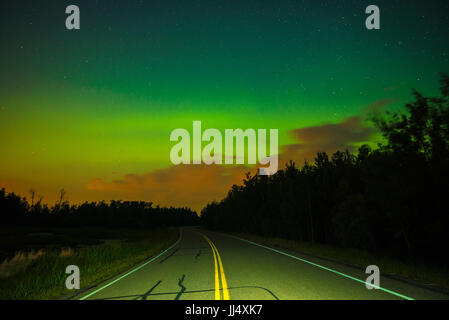 Nordlichter (Aurora Borealis) über Wälder in Elk Island National Park, Kanada Stockfoto