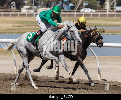 Horse racing-Action auf der Cal Expo in Sacramento, Kalifornien. Stockfoto