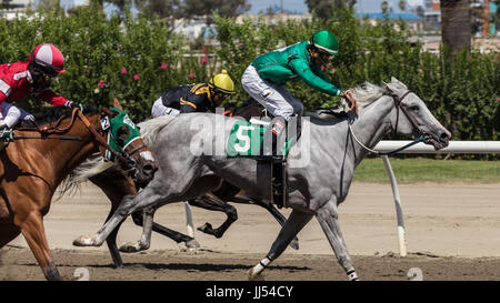 Horse racing-Action auf der Cal Expo in Sacramento, Kalifornien. Stockfoto