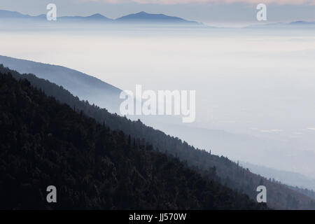 Nebelmeer füllt eine Tal mit einem Holz in den Vordergrund und fernen Hügel und Berge im Hintergrund Stockfoto