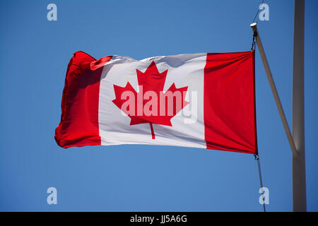 Kanadische Flagge im wind Stockfoto