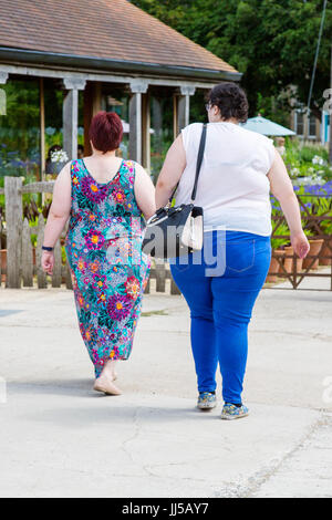 Zwei übergewichtige Frauen gehen auf ein Restaurant. Stockfoto