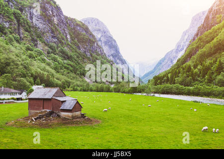 idyllischen Landschaft des Schaf-Farm im schönen Tal in Norwegen Stockfoto
