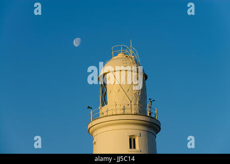 Der Mond hinter den ikonischen Portland Bill Leuchtturm, Portland, England, UK Stockfoto