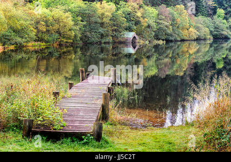 Herbstfärbung am Ufer des Loch Ard Stockfoto