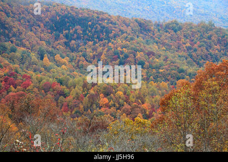 Blue Ridge Mountains Parkway übersehen in Herbstfarben Stockfoto