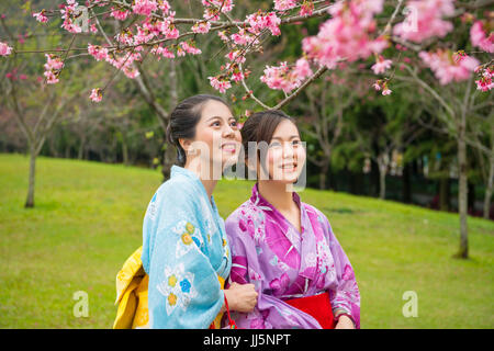 Elegante asiatische Frauen in traditioneller Kleidung Kimono Entspannung durch die Kirschblüte in Japan. Japanische Freundinnen Sakura Blumen des Gartens zu betrachten. Stockfoto