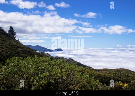 Auf der Suche nach unten über Wolken auf Mantiqueira Berggipfel in der Resort Stadt Campos Do Jordao, Brasilien Stockfoto